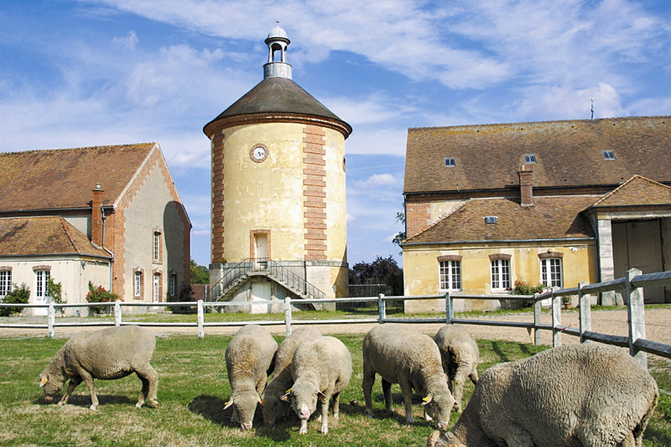 Bergerie Nationale